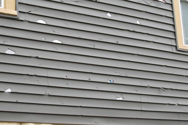 Professional Siding in Milton, WV